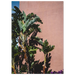 e063342c-e3fd-4bcd-94ca-41d12c5591d4